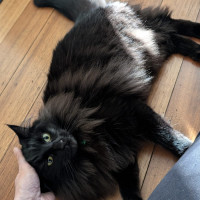 Photo of Truffles