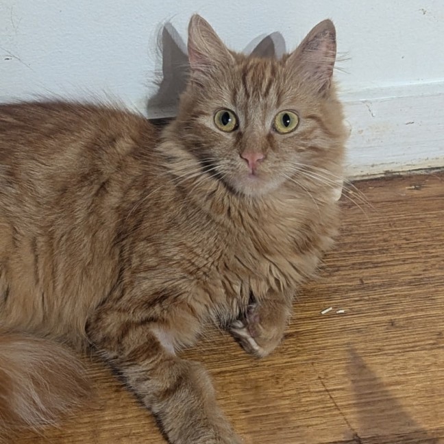 Photo of Genevieve & River