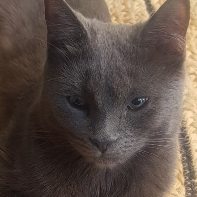 Photo of Little Miss