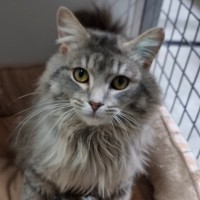 Photo of Rizzo