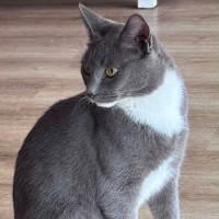 Photo of Lillian