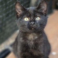 Photo of Trim