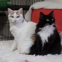 Photo of Fergus & Dorrie