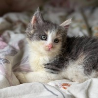 Photo of Neytiri