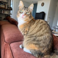 Photo of Mish Mish