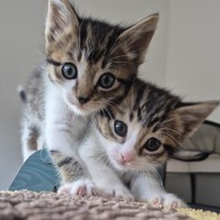 Photo of Amber & Arlee 🌷🌷