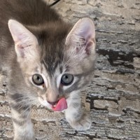 Photo of Storm