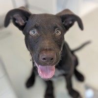 Photo of 🥯 Bagel 5769 🥯