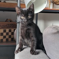 Photo of Charlie Bucket