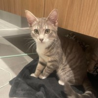 Photo of Salsa