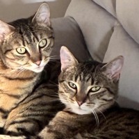 Photo of Ferris & Felix