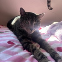 Photo of Tasha