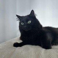 Photo of Raffaello 