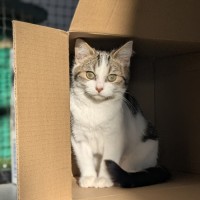 Photo of 🧵 Fyfe 6049 🧵