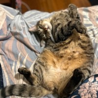 Photo of Lily