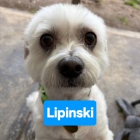 Photo of Mc Stay & Lipinski