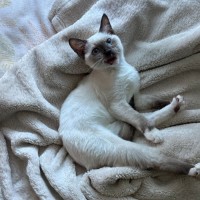 Photo of Queen Carmen And Dylan Penrose 