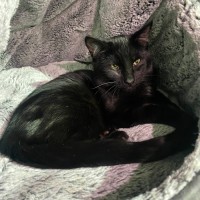 Photo of Katara