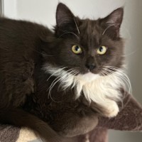 Photo of Olivia