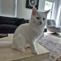 Photo of Angel & Loki