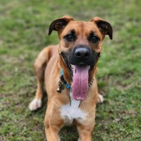 Photo of 🌹 Rose 6167 🌹