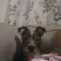 Photo of Chloe 