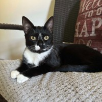 Photo of Rocky