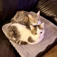 Photo of Adora & Romeo 