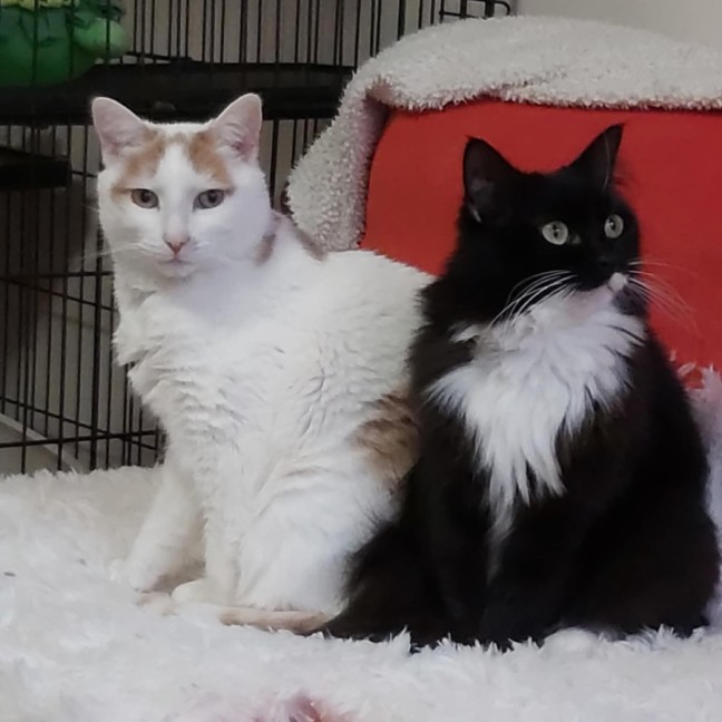 Photo of Fergus & Dorrie