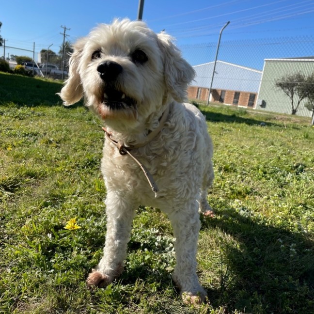 Photo of Princess