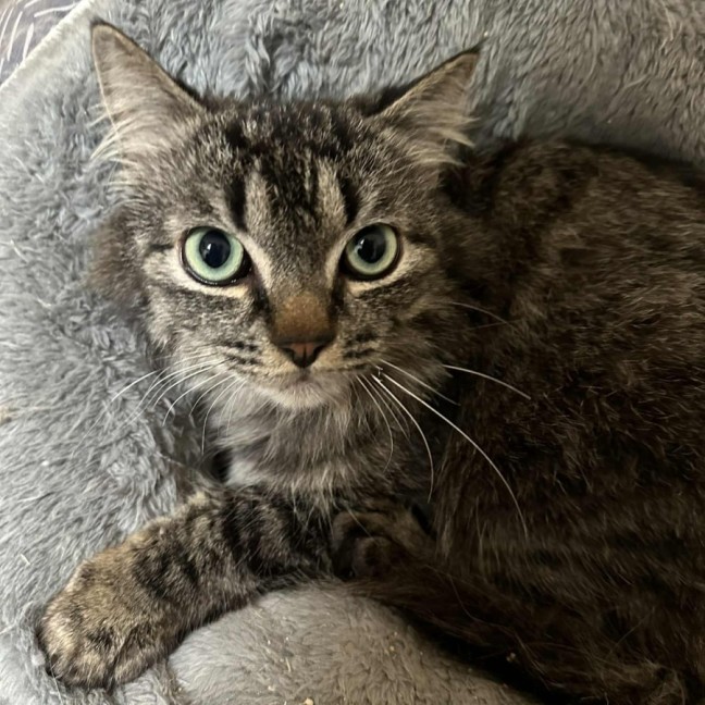 Photo of Franklin