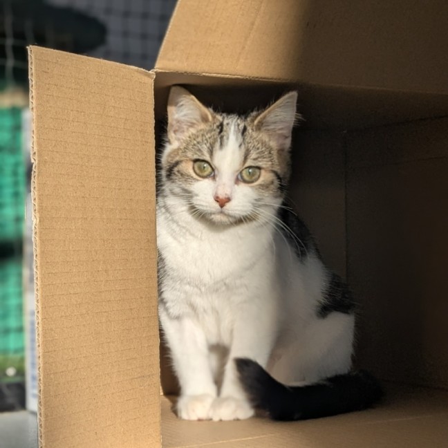 Photo of 🧵 Fyfe 6049 🧵