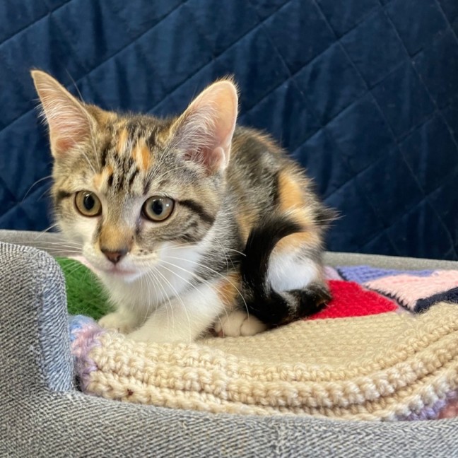 Photo of Flossie