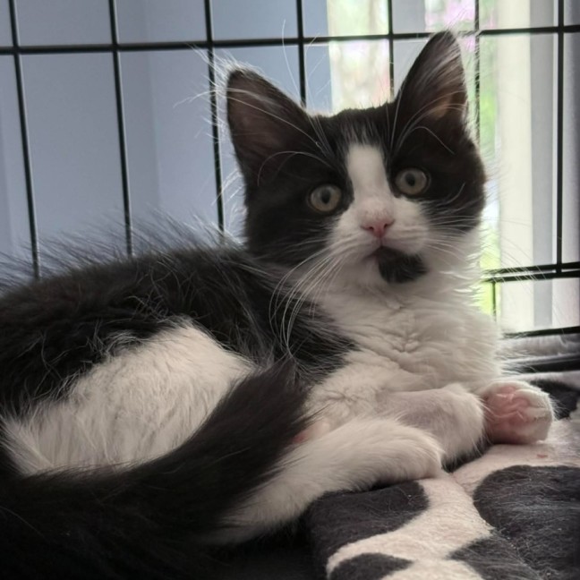 Photo of Laylah & Kyrah