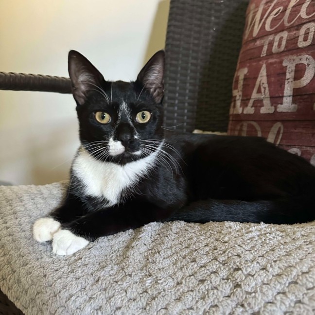 Photo of Rocky