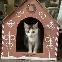 Photo of Marceline 