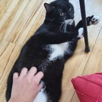 Photo of Bruce