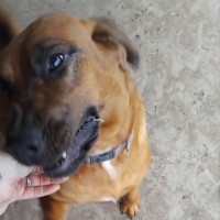 Photo of Dixie & Daisy