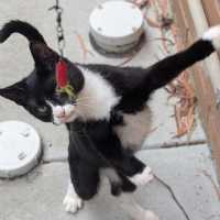 Photo of Michael Teddy 