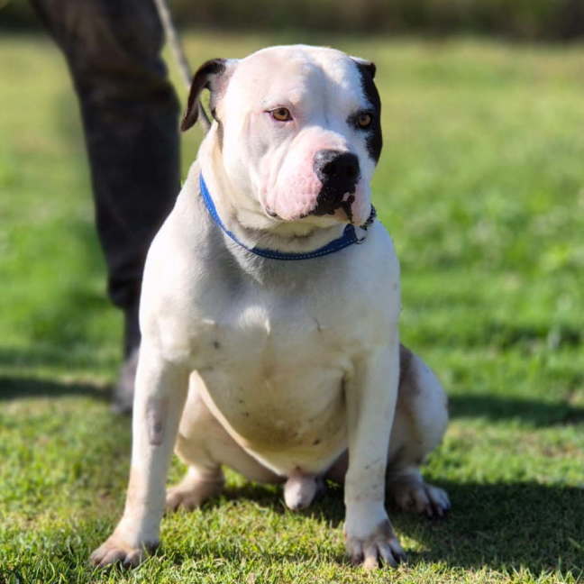 Photo of Turbo