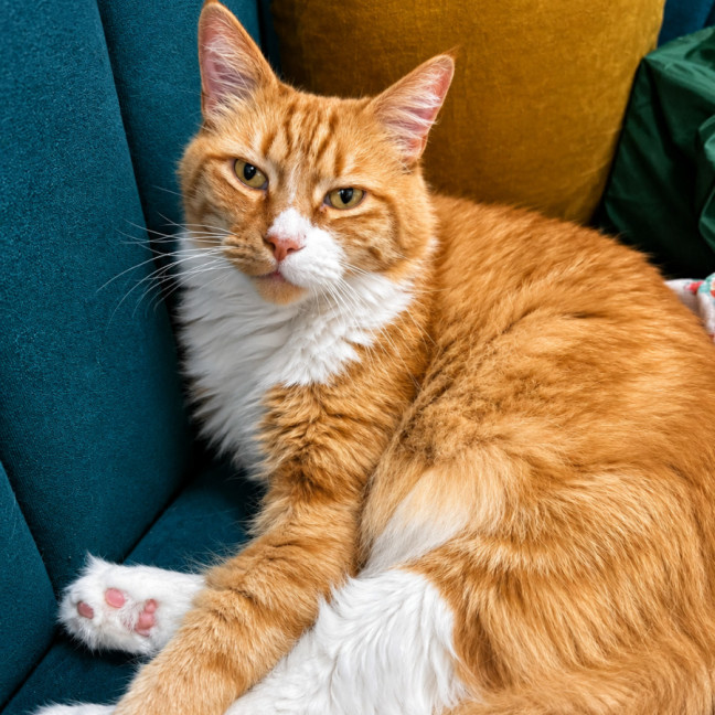 Photo of Pablo