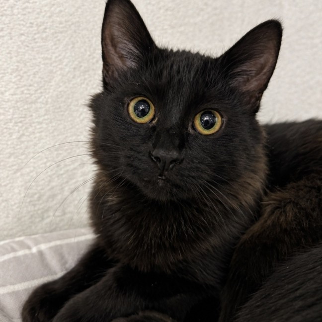 Photo of Sabrina