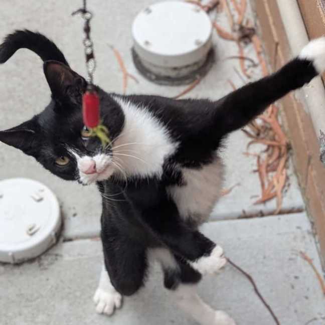 Photo of Michael Teddy 