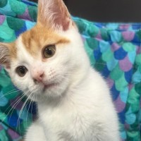 Photo of Barbara   Meet Me @ Petstock Prahran!