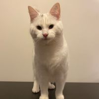 Photo of Birdie & Boo🐦