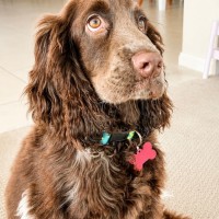 Photo of Monty