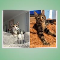 Photo of Penelope & Gigi