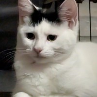 Photo of Diva