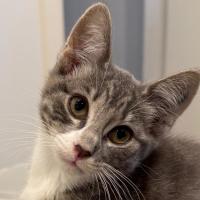 Photo of Bobbi