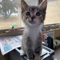 Photo of Clementine